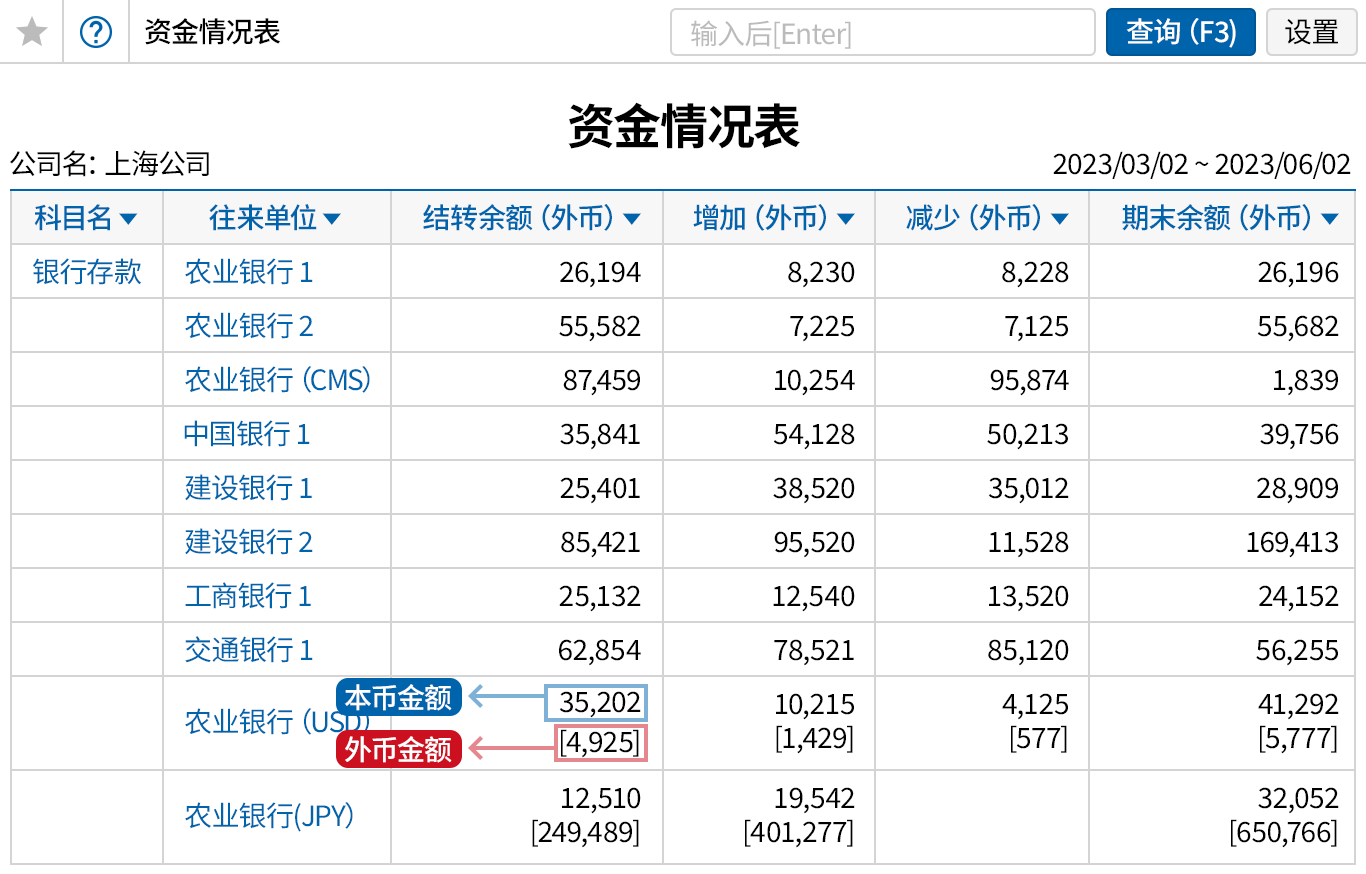 一目了然的查看外币,本币金额